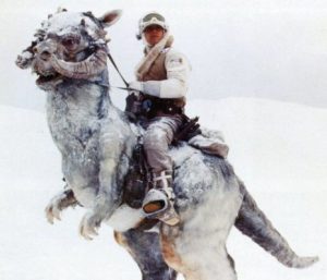 I lave you with a Hoth Reference :)